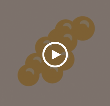 Video thumbnail illustrating aldosterone regulation within the renin–angiotensin–aldosterone system (RAAS)