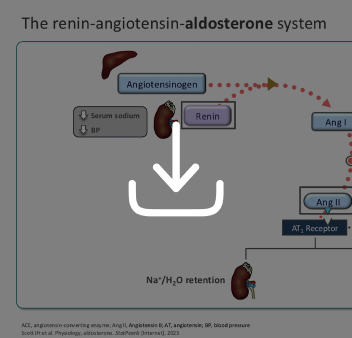 Downloadable educational content featuring a short presentation on the role of aldosterone within the renin–angiotensin–aldosterone system (RAAS) in normal and pathological scenarios