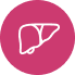 Liver Icon