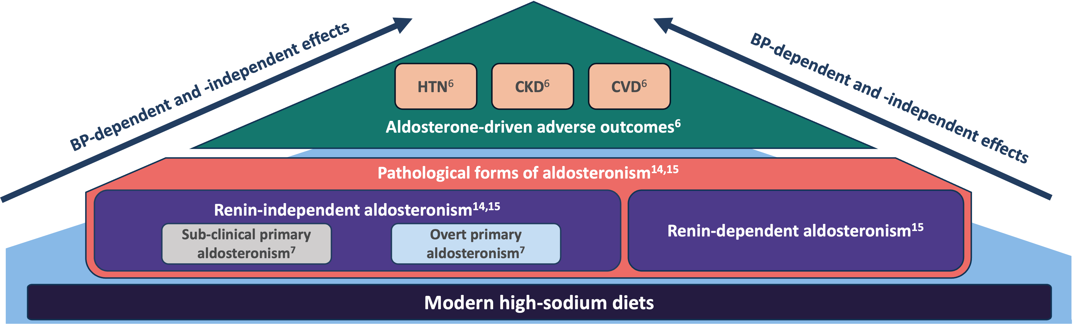 A Deep Dive into Aldosterone Dysregulation and its Impact
