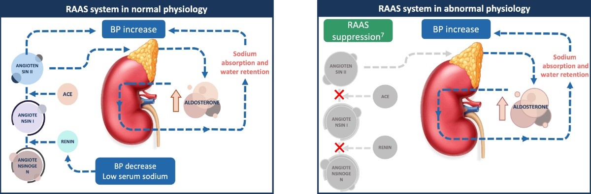 Aldosterone Regulation in Normal Vs Abnormal Physiology