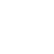 Potassium Icon