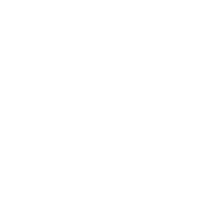 Sodium Icon